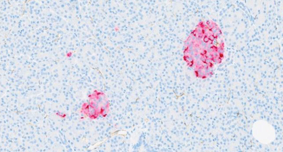 casestudy_img_QUOD-1