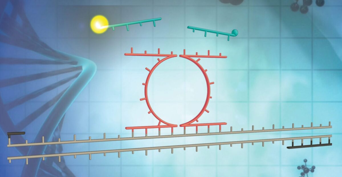 Technology_Rectangle_low-res-scaled-e1587530381344-2048x1290